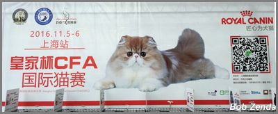 Judging Ring Sponsor